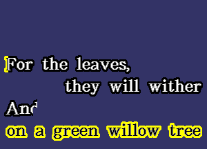 For the leaves,

they Will Wither
AntJ
13 1mg