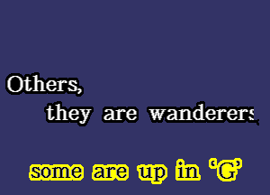 Others,
they are wanderers

mm