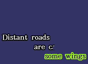 Distant roads