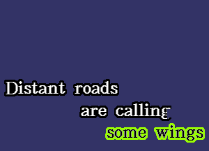 Distant roads