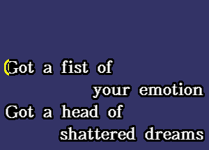 (Got a fist of

your emotion

Got a head of
shattered dreams