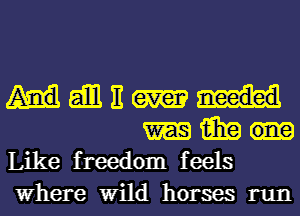 aim E
15in
Like freedom feels

Where Wild horses run