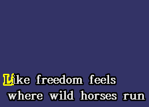 like freedom feels
Where Wild horses run