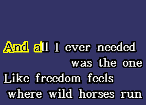 gill I ever needed

was the one
Like freedom feels
Where Wild horses run