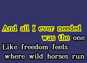 aim I!
fail? one
Like freedom feels

Where Wild horses run