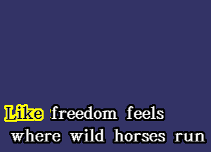 m freedom feels
Where wild horses run