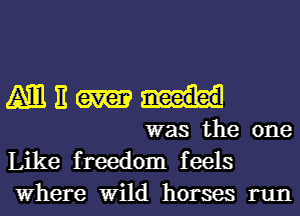 MEN

was the one
Like freedom feels
Where Wild horses run