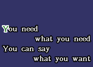 You need

what you need

You can say
What you want