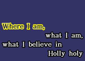 WEE

What I am,
What I believe in

H0113?r holy