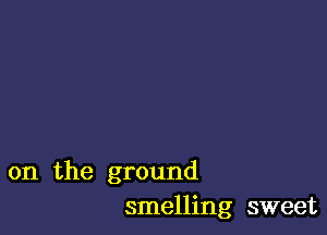 on the ground
smelling sweet