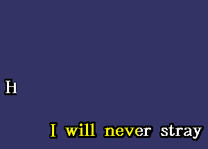 I will never stray