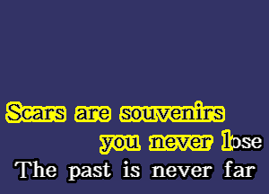 gm souvenircs
never Rose
The past is never far