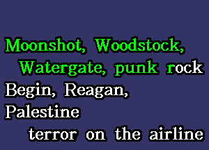 Moonshot, Woodstock,
Watergate, punk rock
Begin, Reagan,
Palestine
terror on the airline