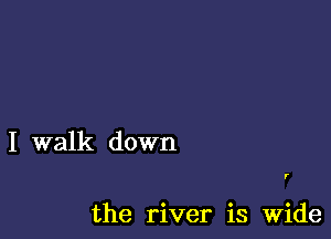 I walk down

the river is wide