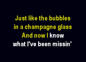 Just like the bubbles
in a champagne glass

And now I know
what I've been missin'