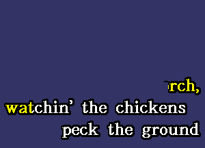 urch,
watchin' the chickens
peck the ground