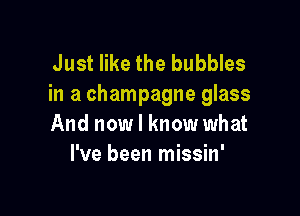 Just like the bubbles
in a champagne glass

And now I know what
I've been missin'