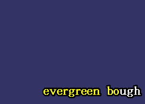 evergreen bough