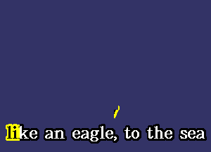 f
mke an eagle, to the sea