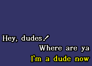 Hey, dudes!
Where are ya

Fm a dude now