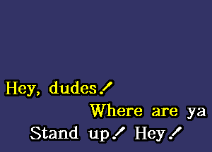 Hey, dudes!
Where are ya
Stand up .I' Hey!