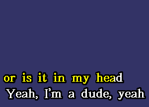 or is it in my head
Yeah, Fm a dude, yeah