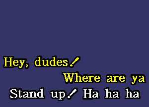 Hey, dudes!
Where are ya
Stand up .I' Ha ha ha