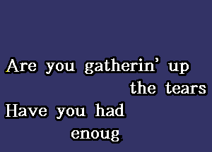 Are you gatherin up

the tears
Have you had
enoug