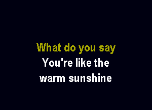 What do you say

You're like the
warm sunshine