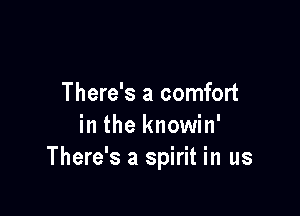 There's a comfort

in the knowin'
There's a spirit in us