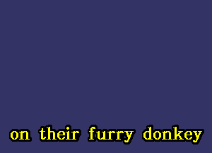 on their furry donkey