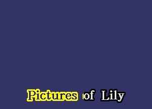 of Lily