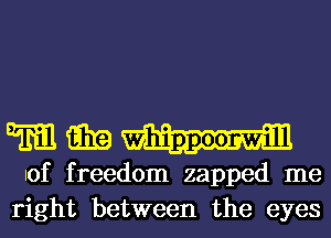 Till m WhippOOFWill
10f freedom zapped me
right between the eyes