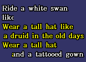 Ride a White swan

like

Wear a tall hat like

a druid in the old days

Wear a tall hat
and a tattooed gown