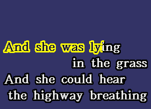 Hmmng

in the grass
And she could hear
the highway breathing