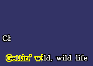 Ch

W WM, wild life