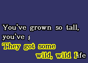 Yofve grown so tall,

m?
'Ilmvldihfe