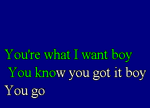 Y ou're what I want boy
You know you got it boy
You go