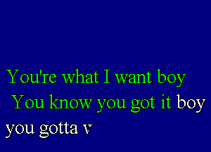 Y ou're what I want boy
You know you got it boy
you gotta V