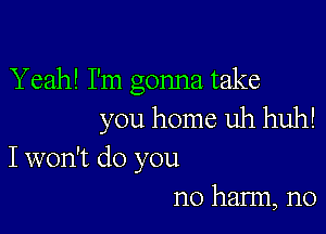 Yeah! I'm gonna take

you home uh huh!
I won't do you
no harm, n0