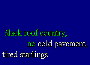 Slack roof country,
no cold pavement,
tired starlings