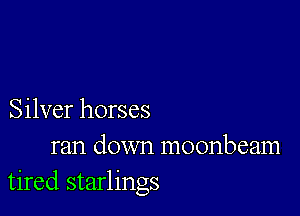 Silver horses

ran down moonbeam
tired starlings