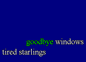 goodbye windows
tired starlings