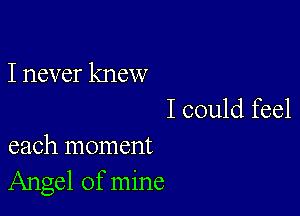 I never knew

I could feel
each moment
Angel of mine