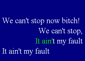 We can't stop now bitch!

We can't stop,
It ain't my fault
It ain't my fault