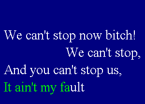 We can't stop now bitch!

We can't stop,
And you can't stop us,
It ain't my fault