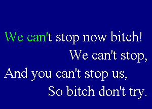 We can't stop now bitch!

We can't stop,

And you can't stop us,
So bitch don't try.