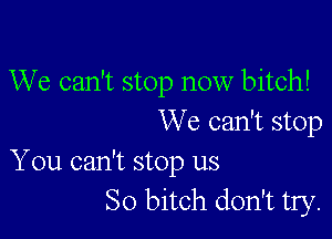 We can't stop now bitch!

We can't stop

You can't stop us
So bitch don't try.