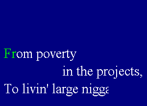 From poverty
in the projects,
To livin' large niggz
