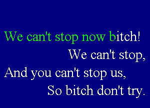 We can't stop now bitch!

We can't stop,

And you can't stop us,
So bitch don't try.
